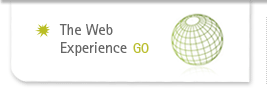 The Web Experience